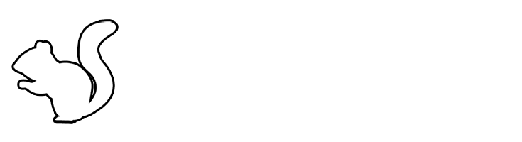 White Squirrel Website Solutions